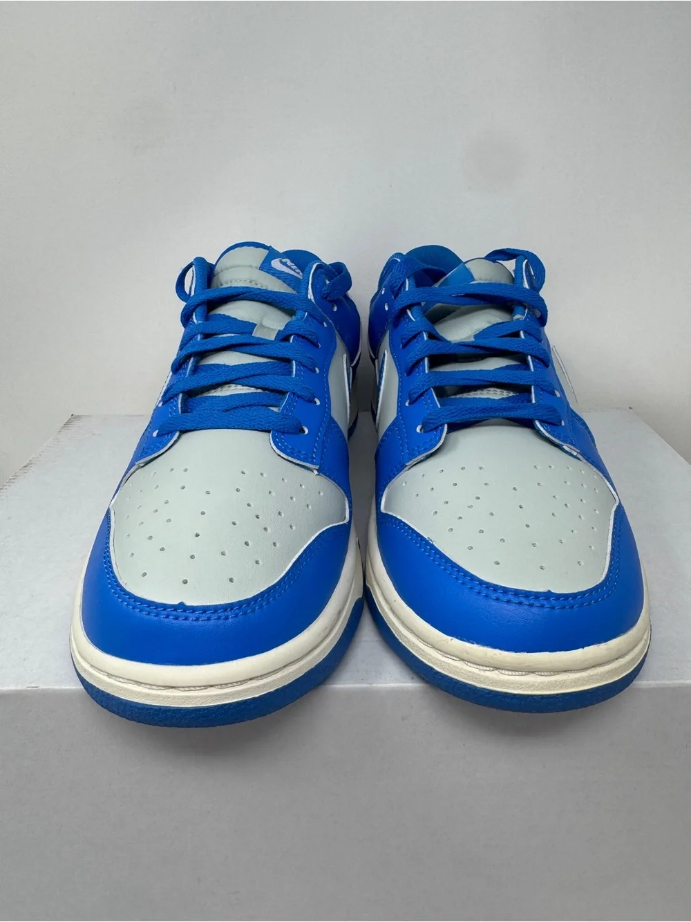 Mens Nike Dunks